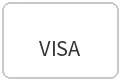VISA支付